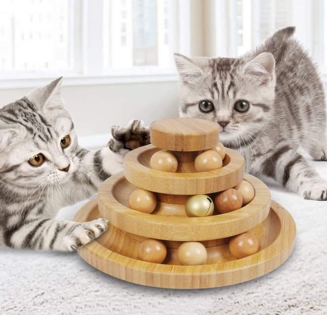 The Whirlwind Track: An Interactive Wooden Maze for Curious Cats