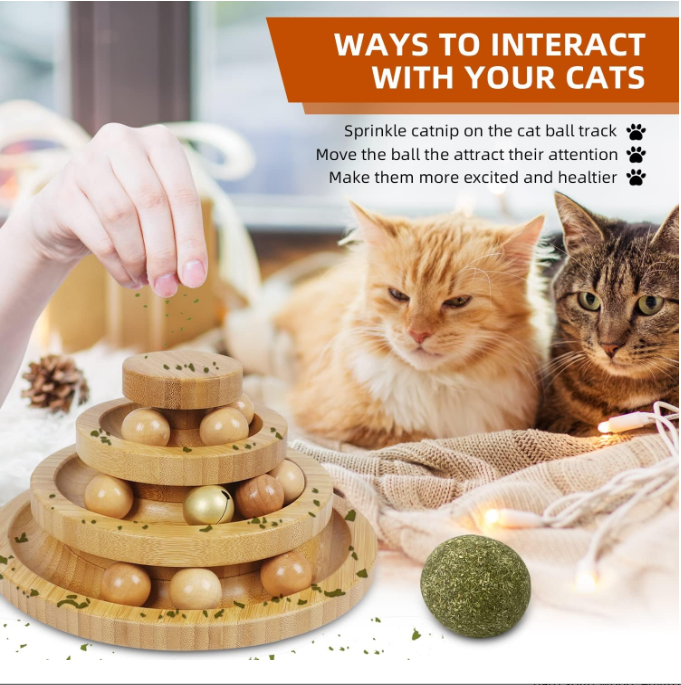 The Whirlwind Track: An Interactive Wooden Maze for Curious Cats