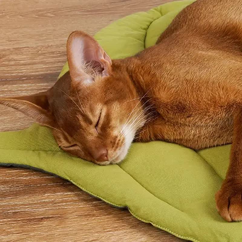 NNEDSZ 1 Pcs Green Leaf-Shaped Pet Sleeping Mat - Durable Dog Floor Pad & Cat Bed for Sleeping and Playtime